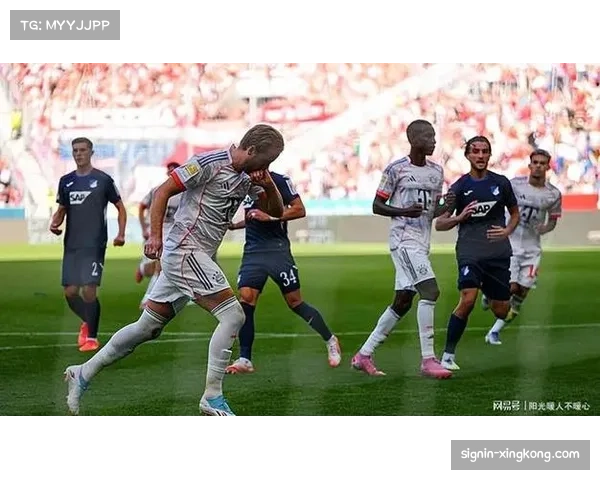 霍芬海姆中场控制力增强 比赛节奏掌控能力进步